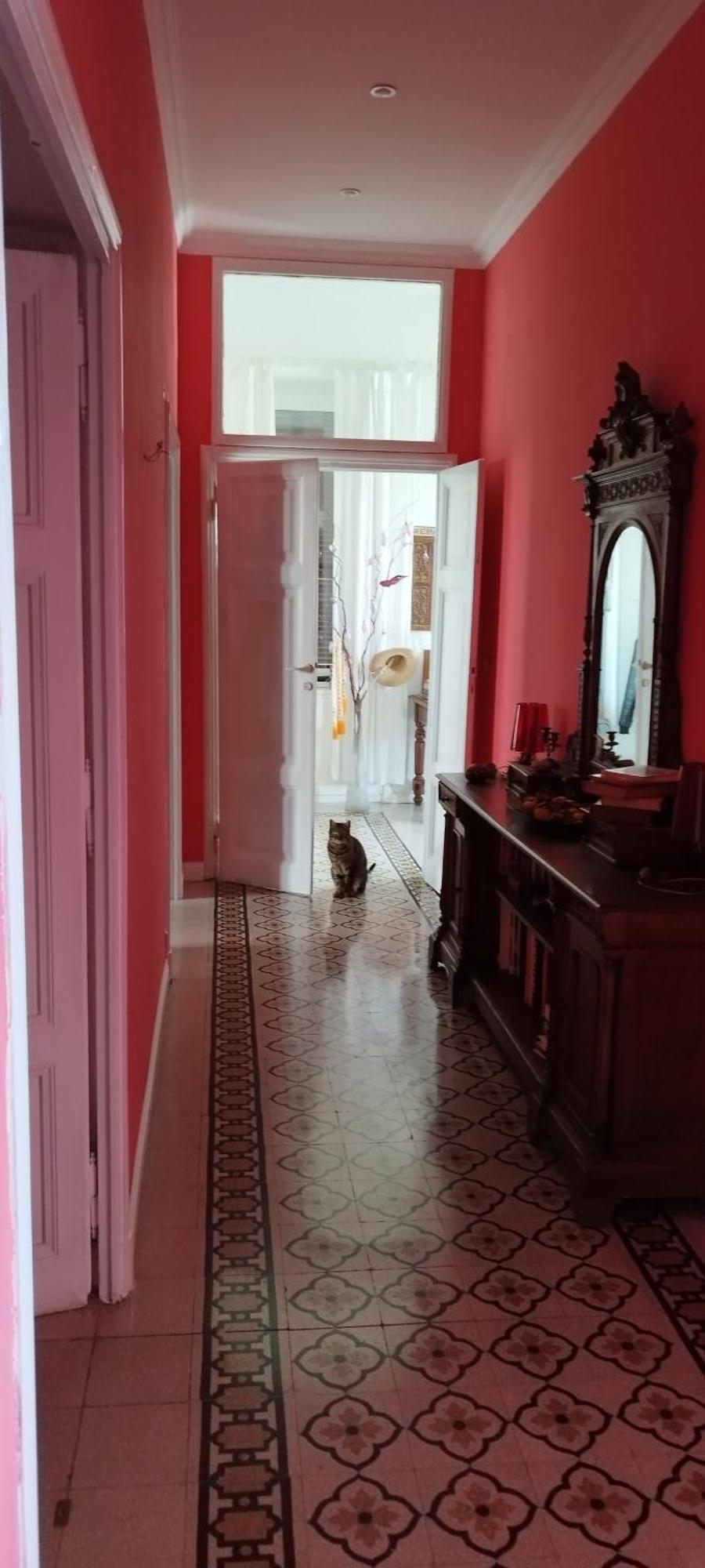 Rum i privatbostad Stanza In Romantica Casa Romana